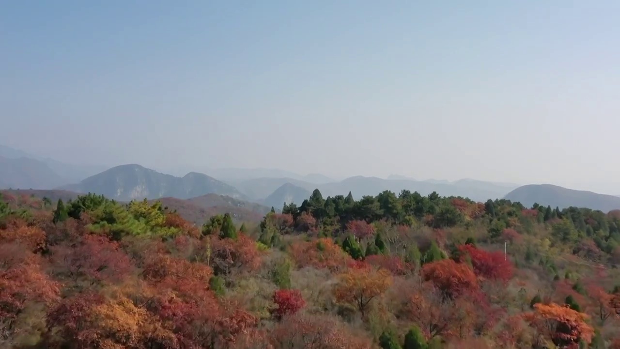 亚洲中国太行山焦作窄门峡谷秋天红叶景象航拍视频素材