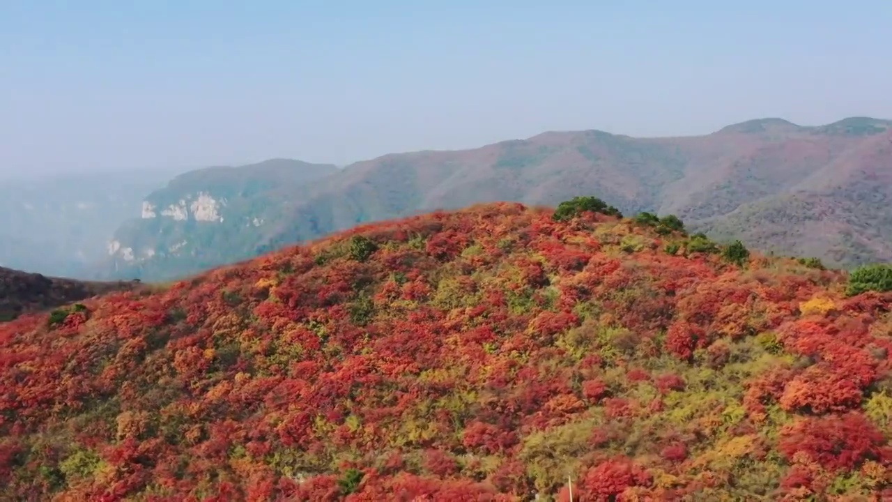 亚洲中国太行山焦作窄门峡谷秋天红叶景象航拍视频素材