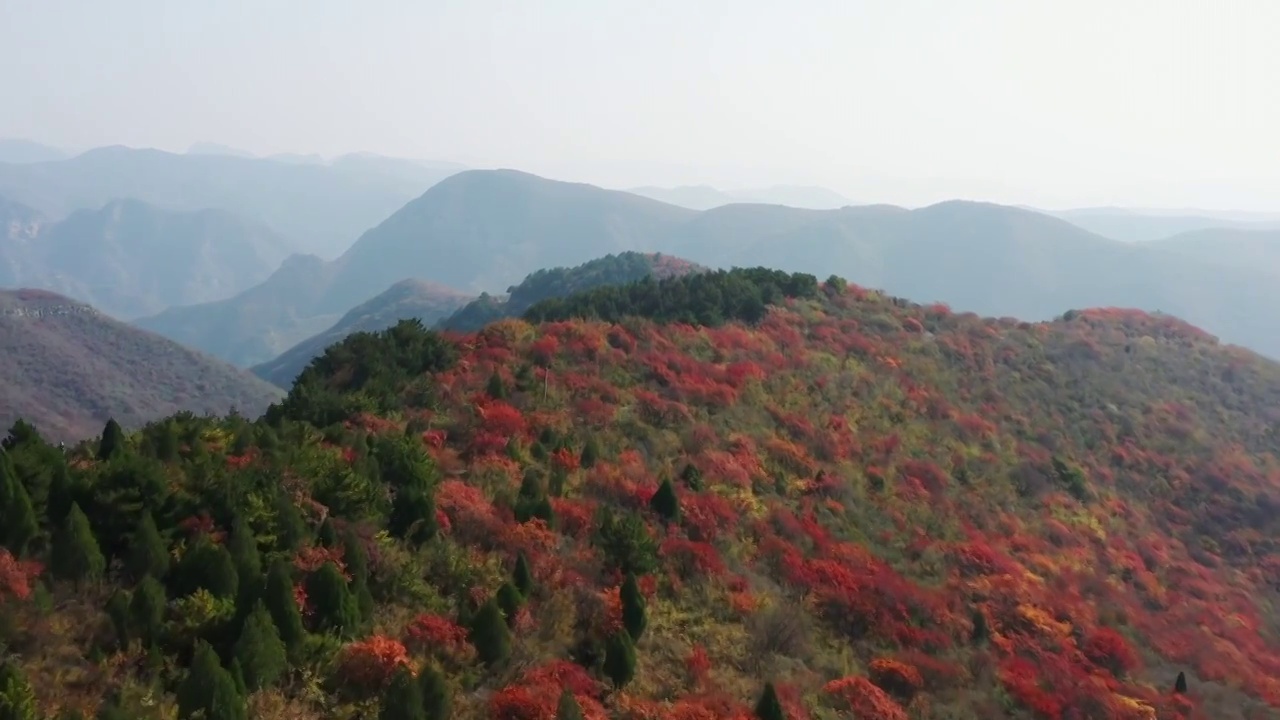 亚洲中国太行山焦作窄门峡谷秋天红叶景象航拍视频素材