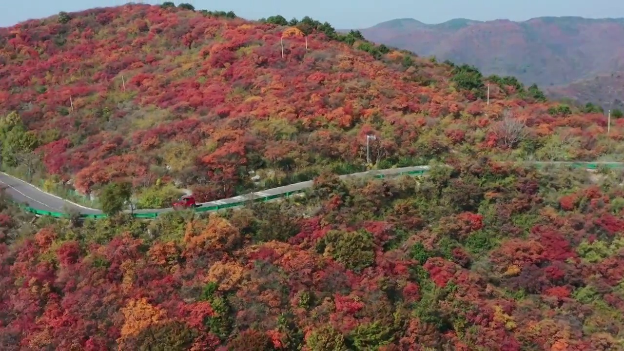 亚洲中国太行山焦作窄门峡谷秋天红叶景象航拍视频素材