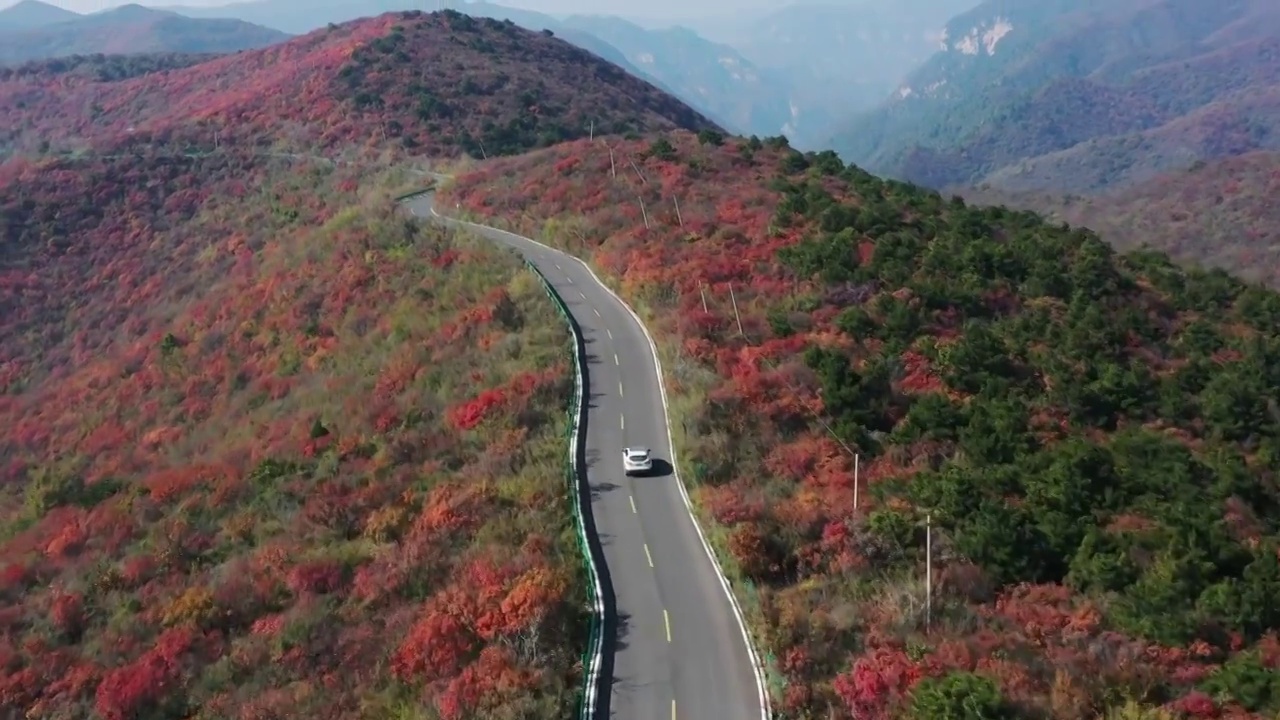 亚洲中国太行山焦作窄门峡谷秋天红叶景象航拍视频素材