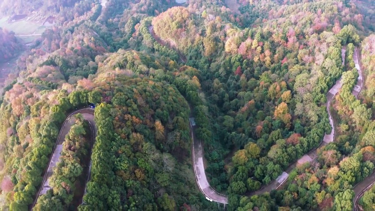 秋季山路弯道层林秋色风光俯拍航拍视频素材