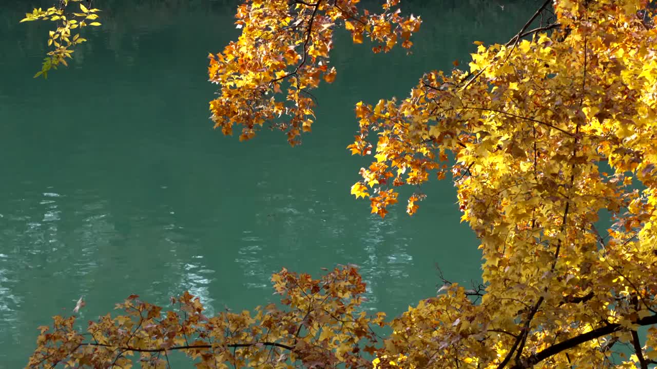 北京颐和园秋天风光视频素材