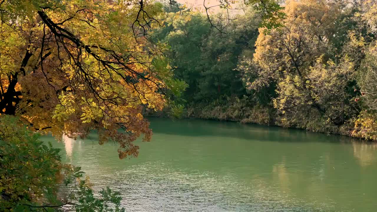 北京颐和园秋天风光视频素材