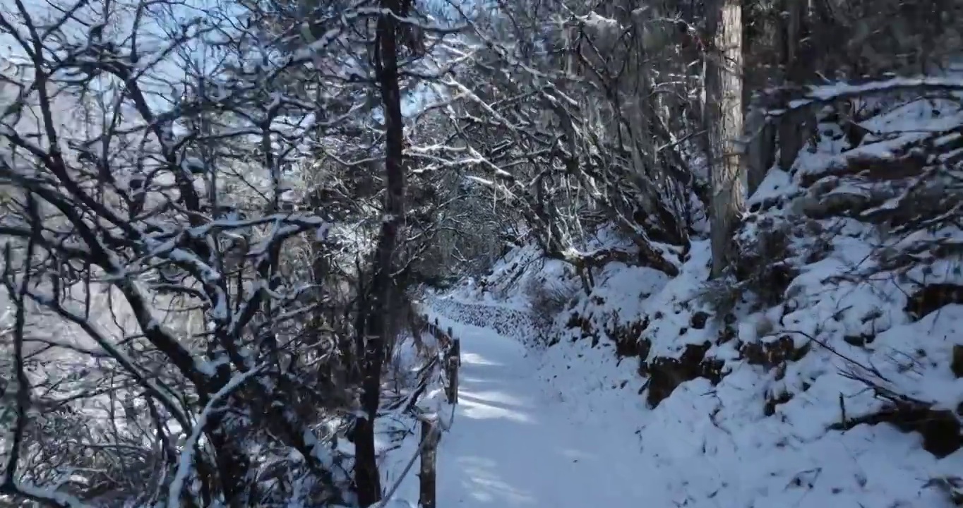 冬季毕棚沟美景积雪林间小路视频素材