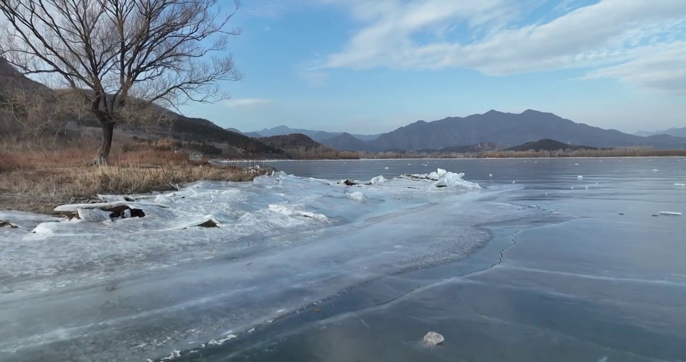 北京怀柔水库冬天一棵树航拍视频素材