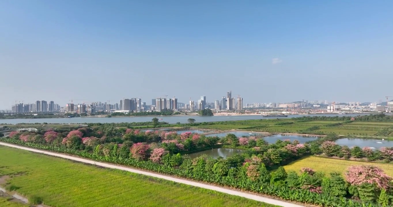 航拍广州南沙城市风光空镜头视频素材