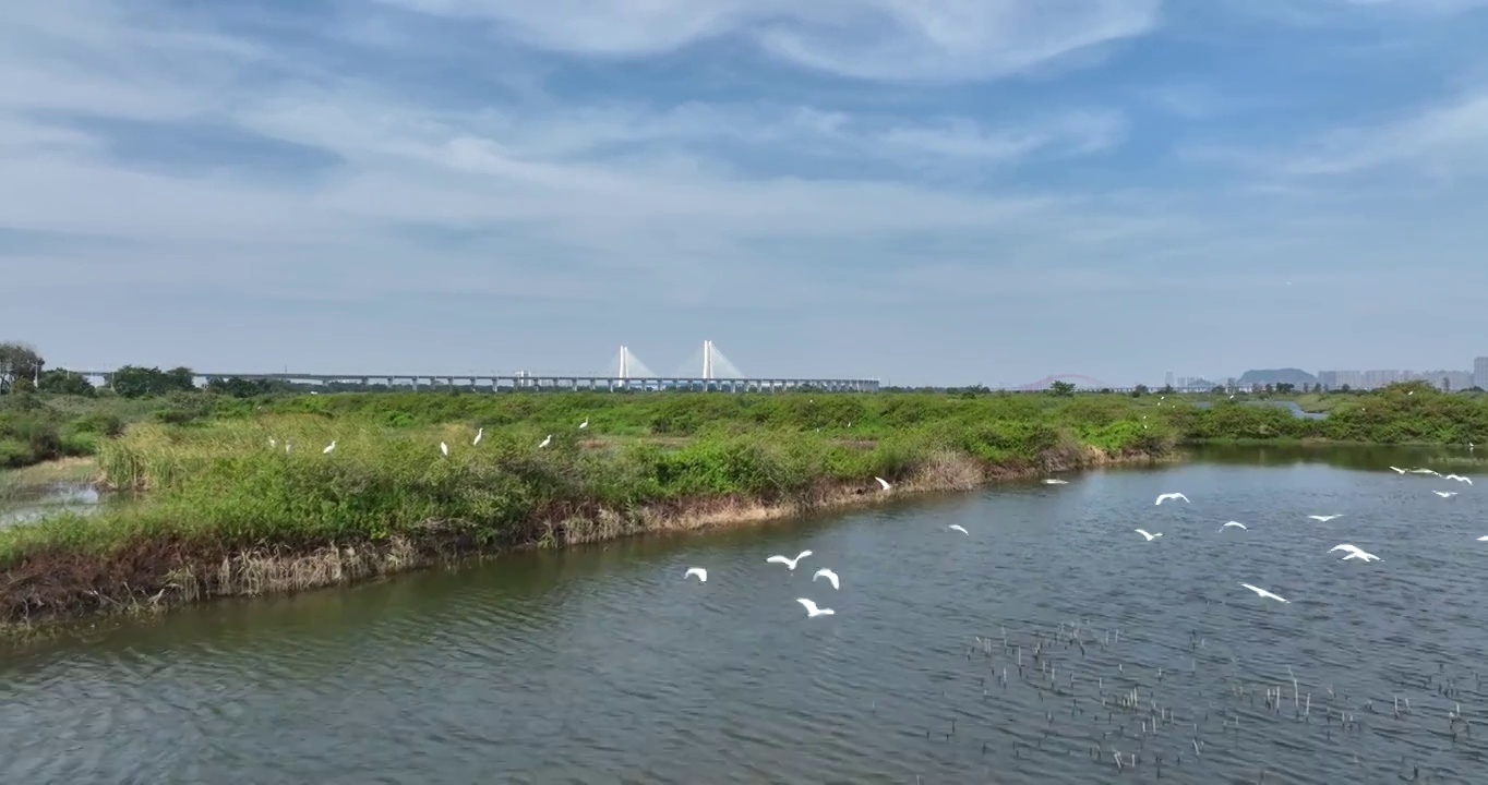 航拍广州南沙城市风光空镜头视频素材