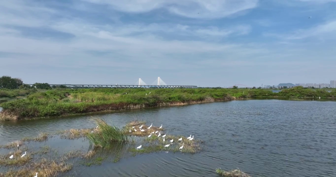 航拍广州南沙城市风光空镜头视频素材