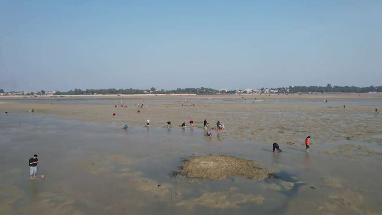 海滩赶海视频素材