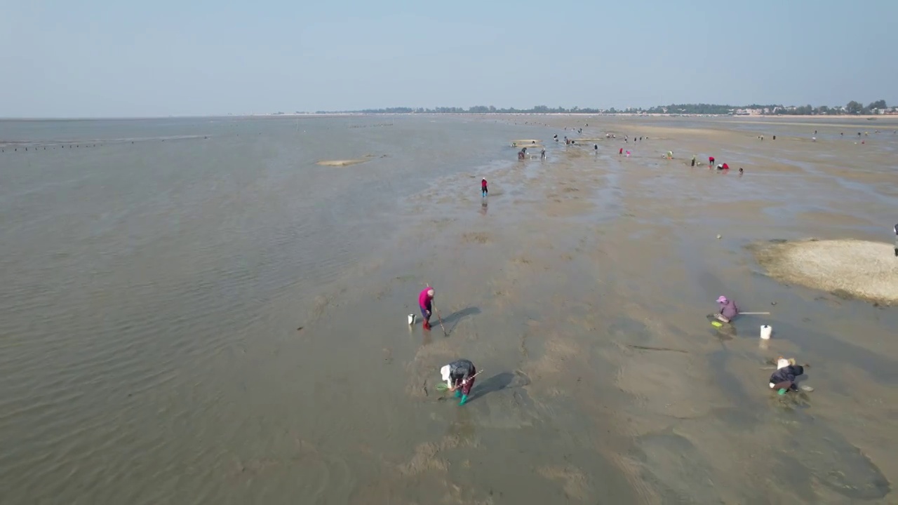 海滩赶海视频素材