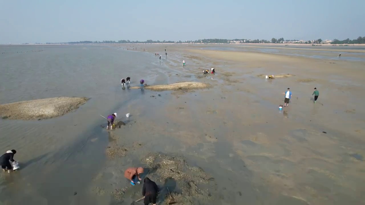 海滩赶海视频素材