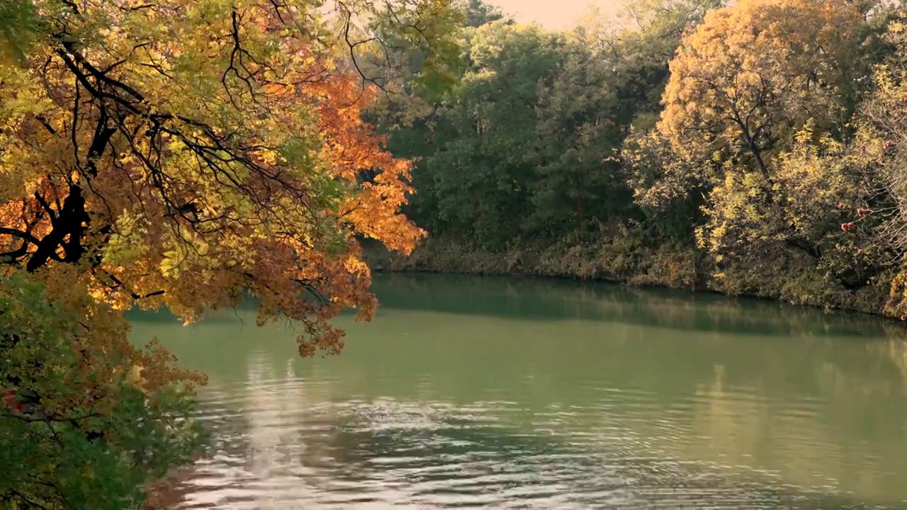 北京颐和园秋天风光视频素材