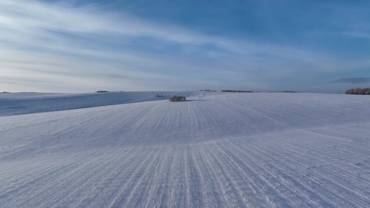 航拍呼伦贝尔雪域雪原视频素材