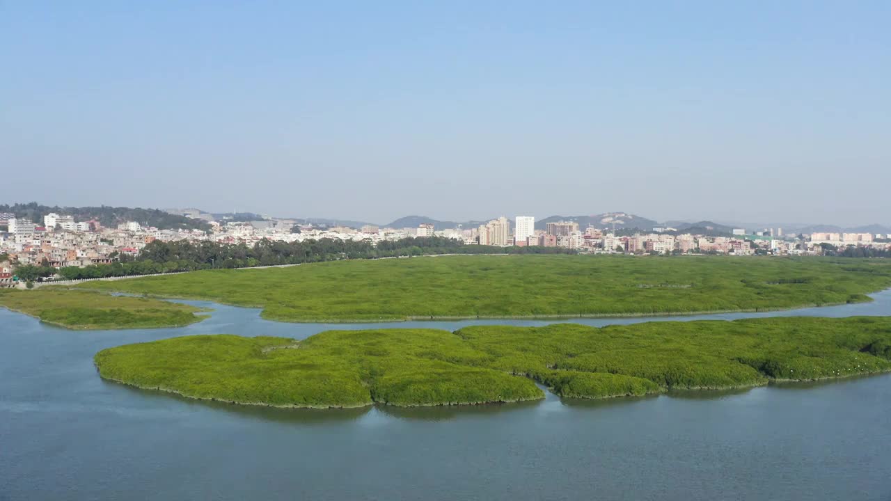 福建泉州湾河口湿地风光视频素材