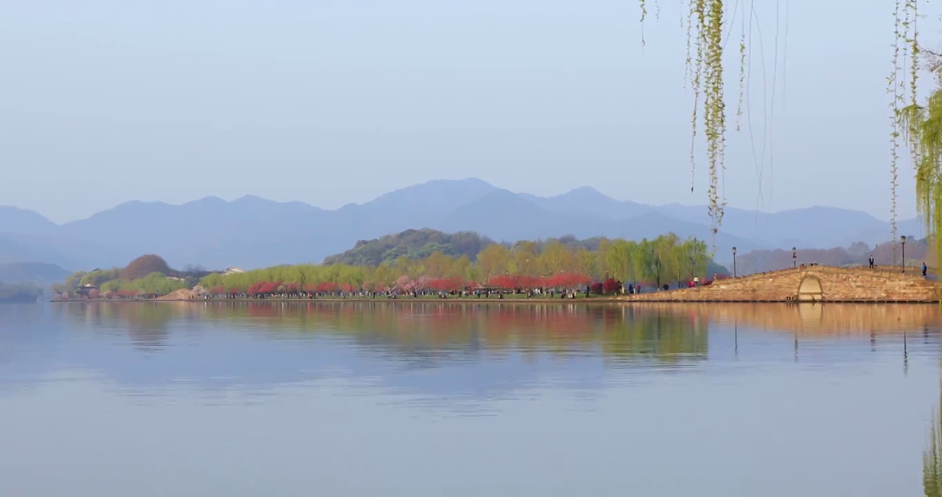 杭州春天清晨西湖白堤桃花樱花游船唯美空镜视频素材