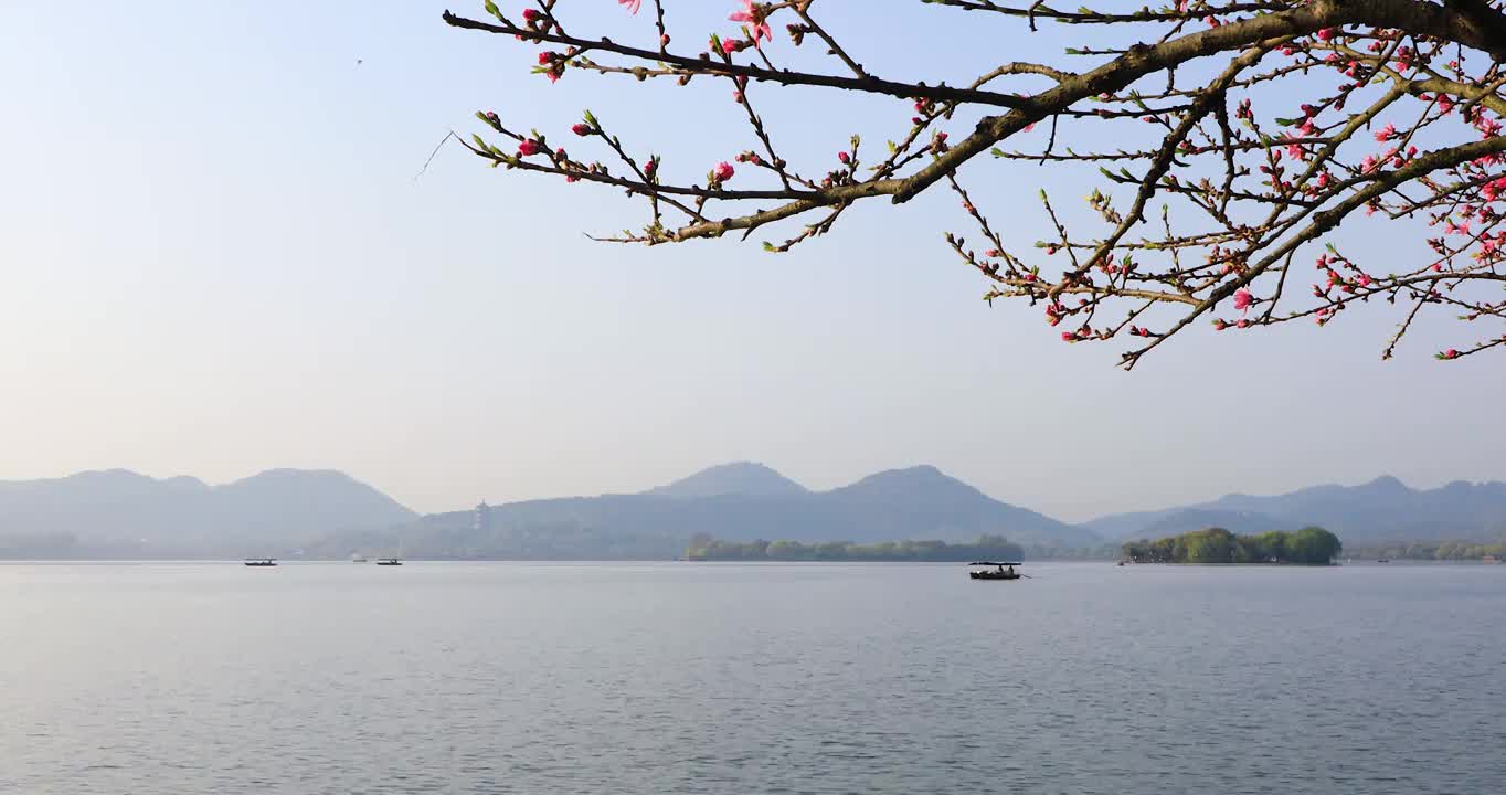 杭州春天清晨西湖白堤桃花樱花游船唯美空镜视频素材