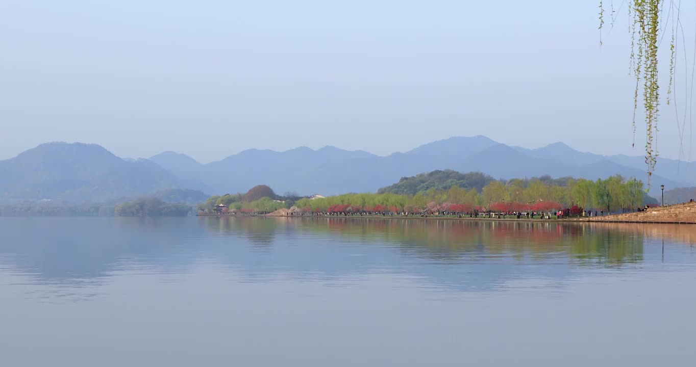 杭州春天清晨西湖白堤桃花樱花游船唯美空镜视频素材