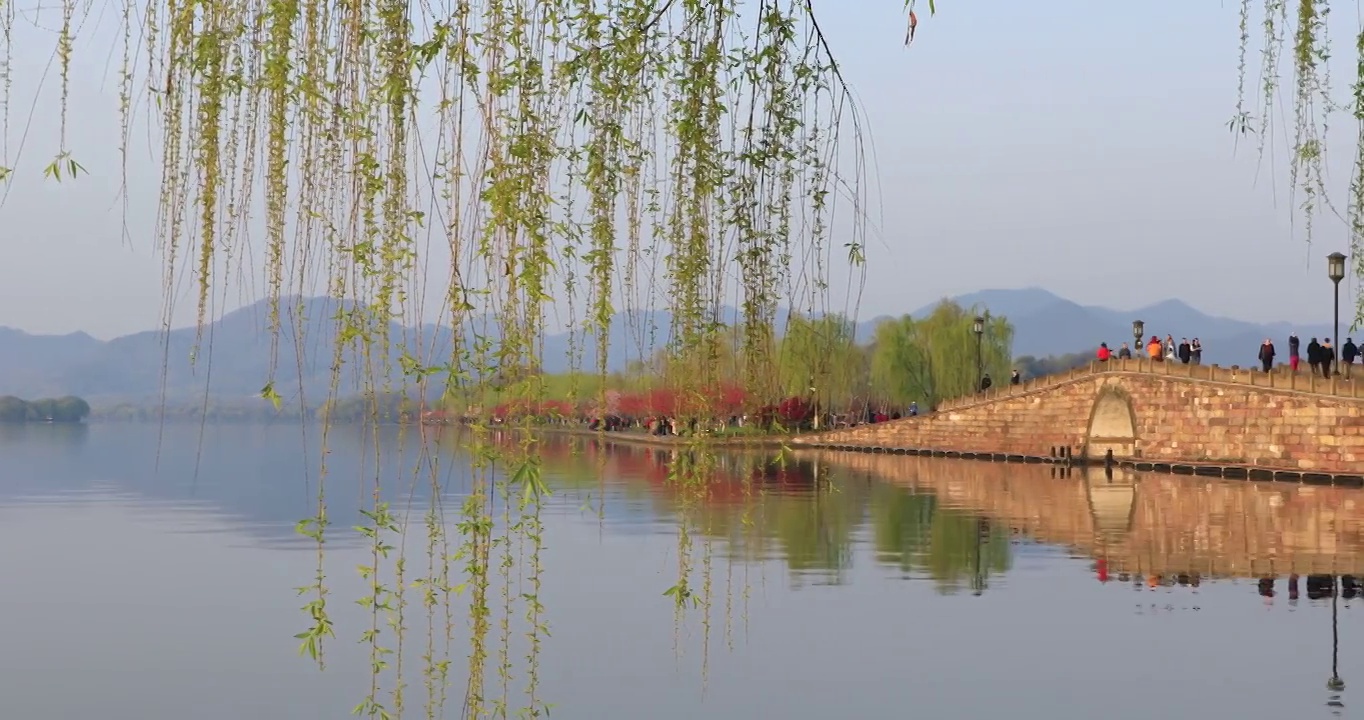 杭州春天清晨西湖白堤桃花樱花游船唯美空镜视频素材