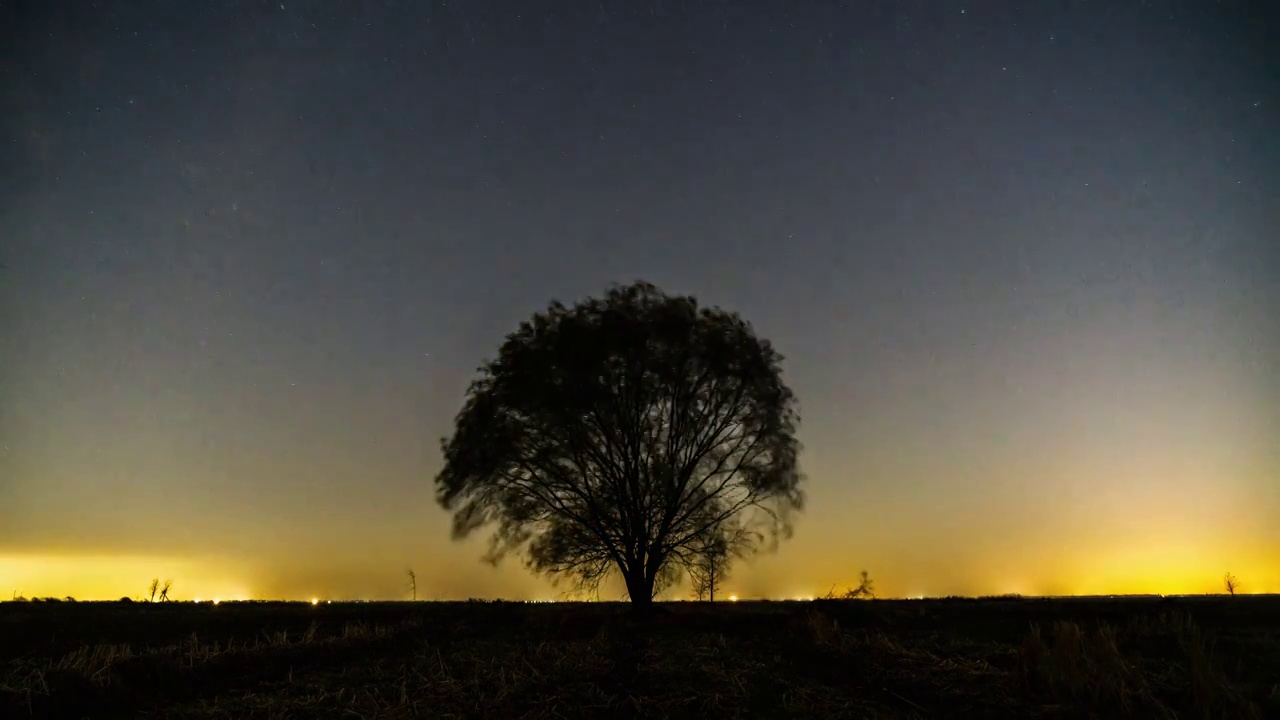 星空下的一棵树视频素材