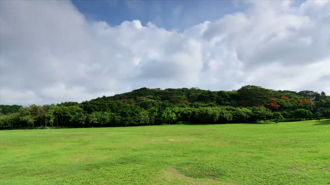 深圳莲花山公园延时视频素材