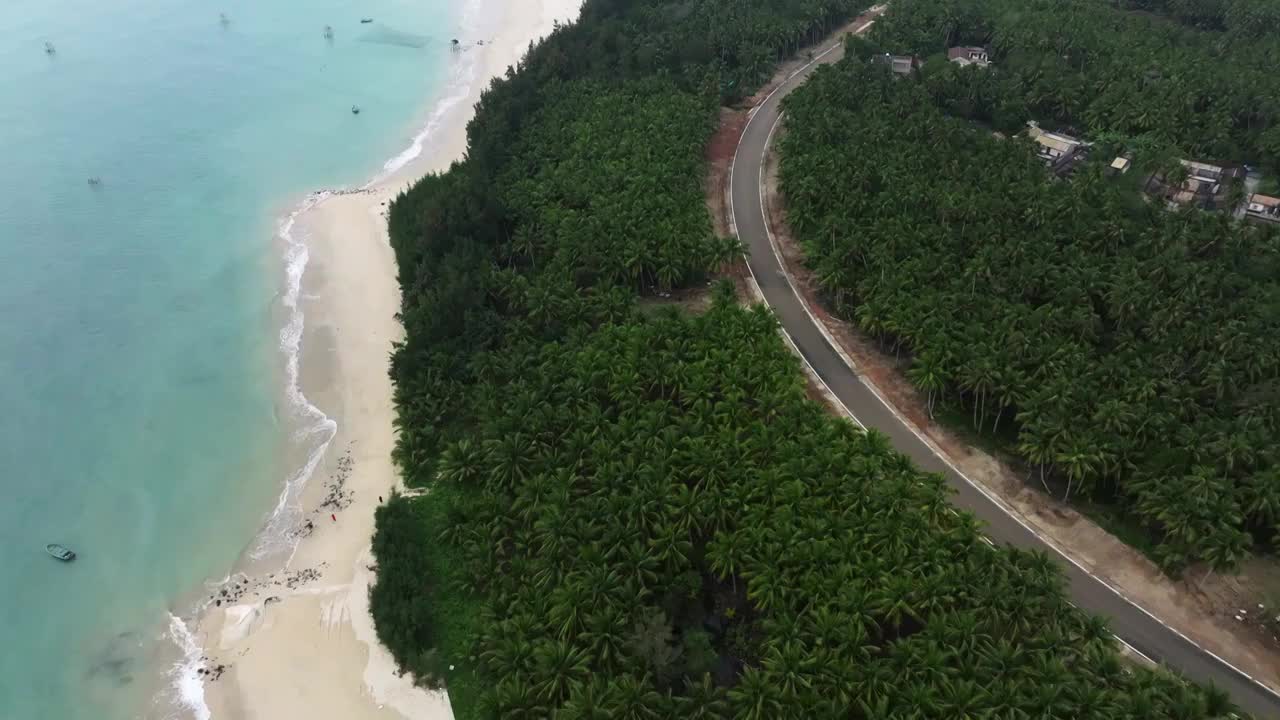 椰树林和海边的道路视频素材