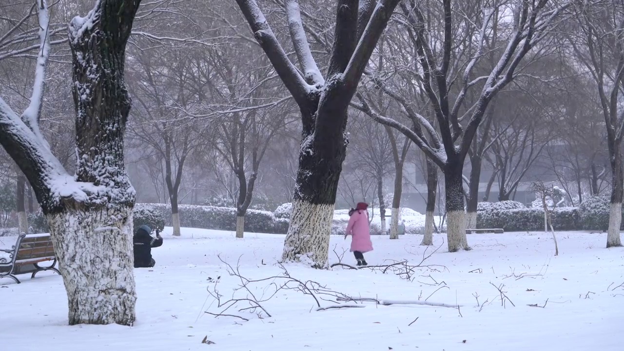 雪中玩乐的人视频素材