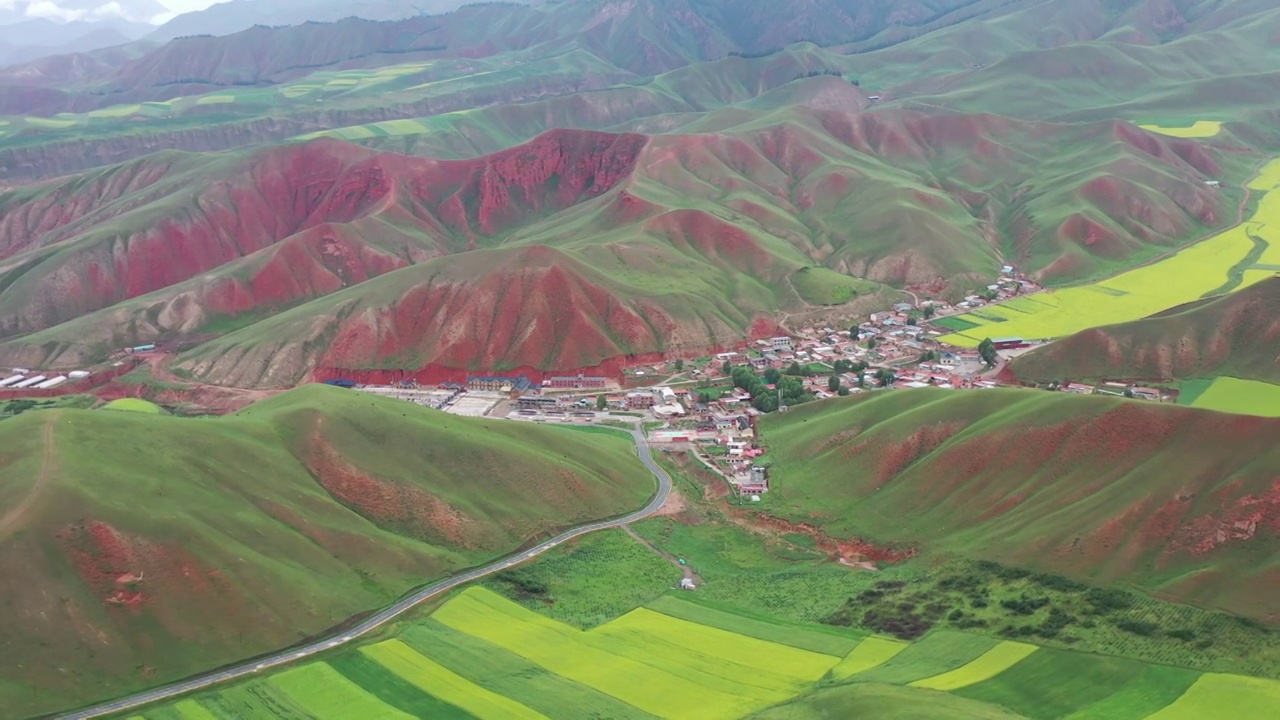 航拍青海祁连山卓尔山油菜花视频素材