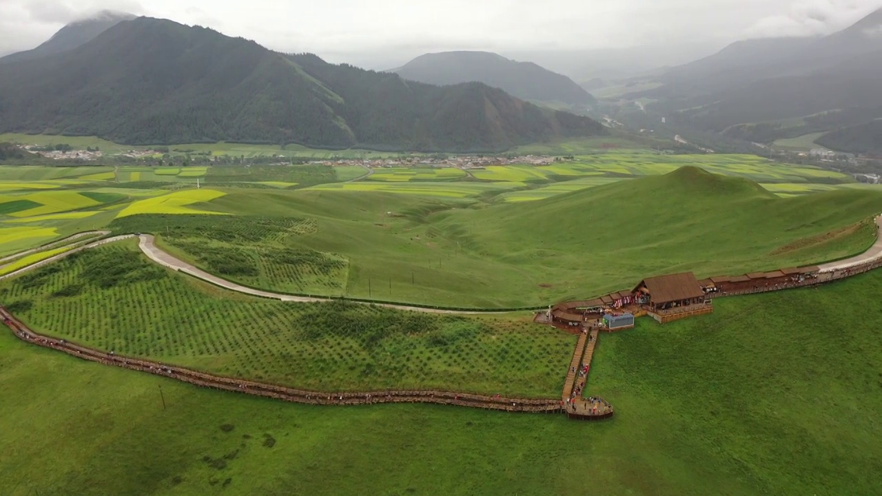 航拍青海祁连山卓尔山油菜花视频素材