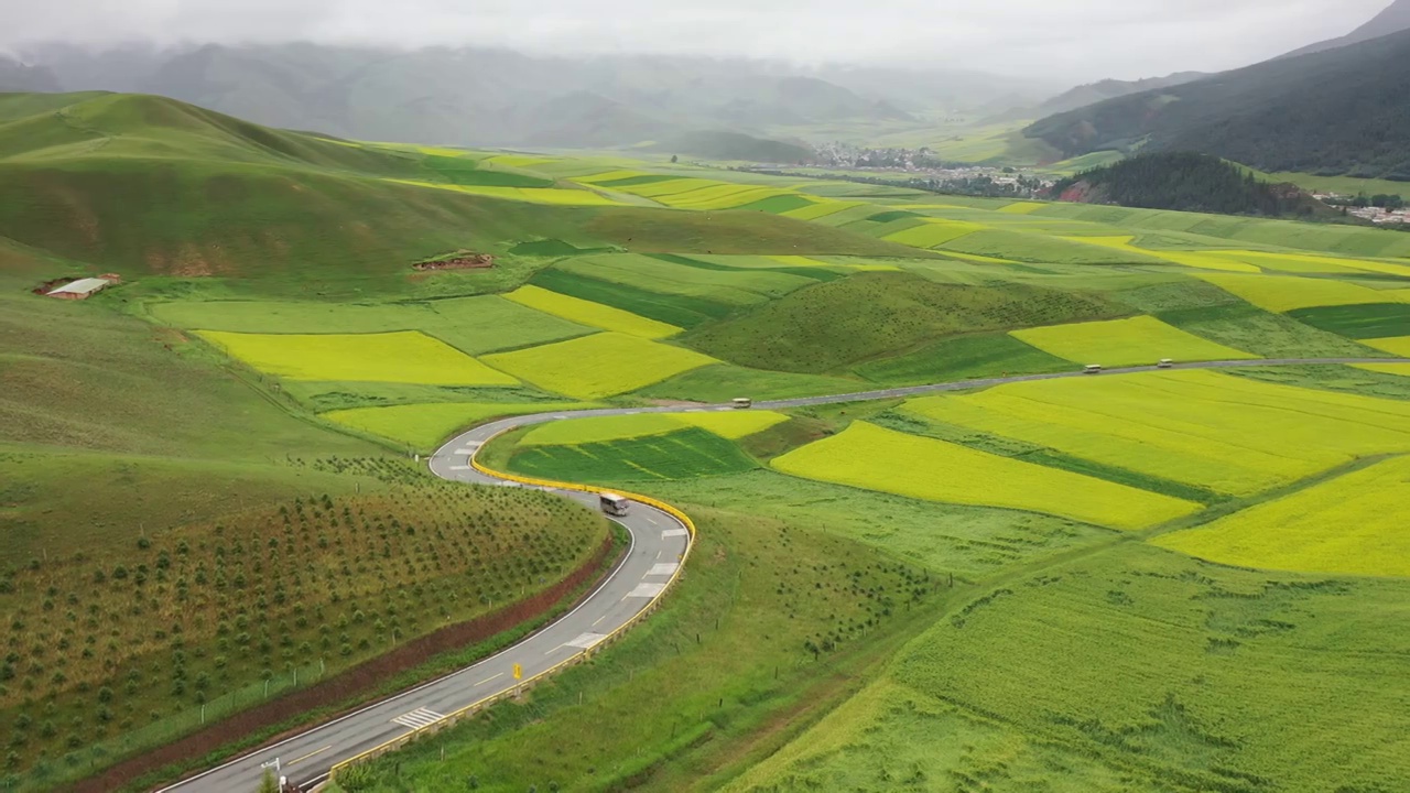 航拍青海祁连山卓尔山油菜花视频素材