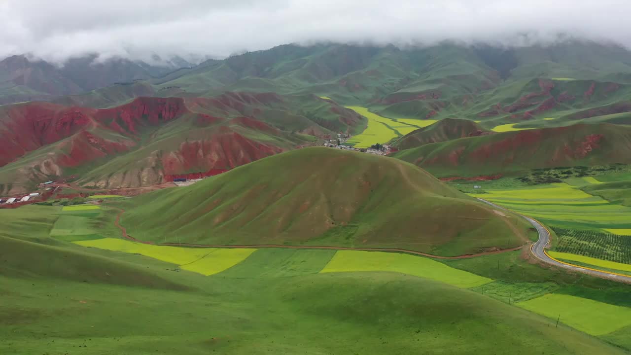 航拍青海祁连山卓尔山油菜花视频素材