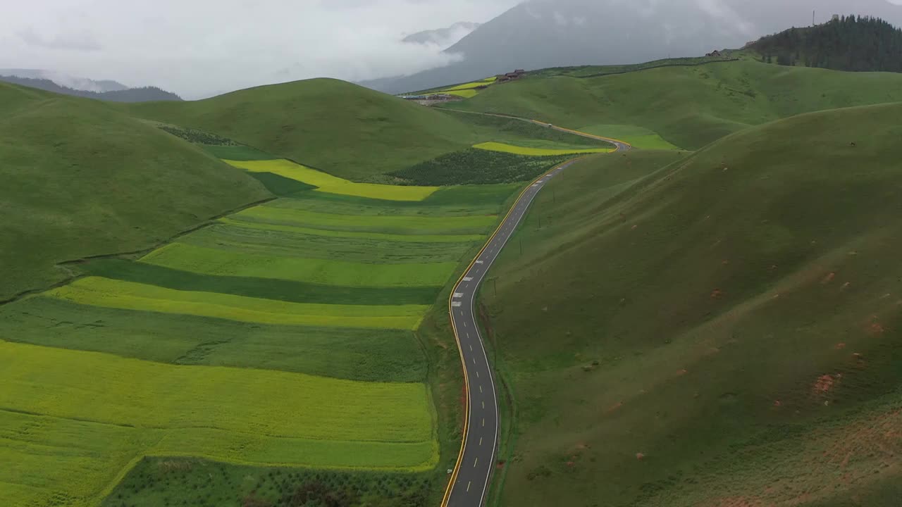 航拍青海祁连山卓尔山油菜花视频素材