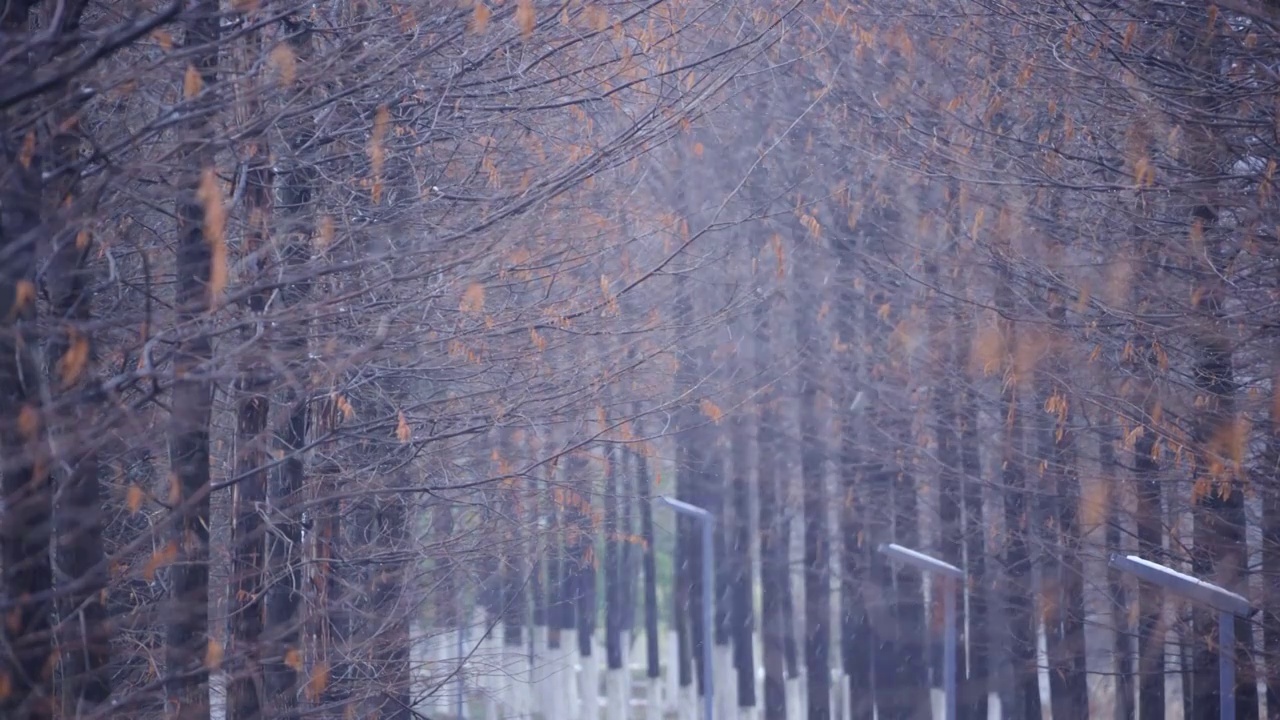 大雪视频素材