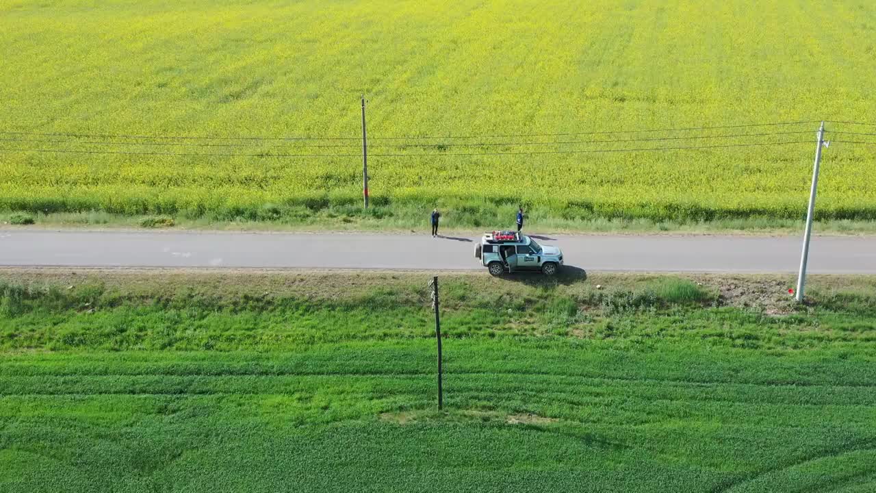 航拍青海扁都口油菜花和青稞视频素材