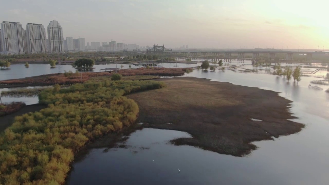 群力外滩生态湿地 公园视频素材