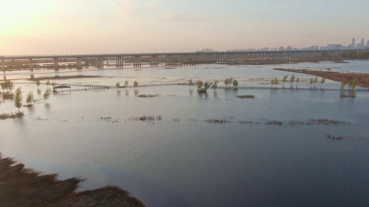 群力外滩生态湿地 公园 阳明滩大桥视频素材