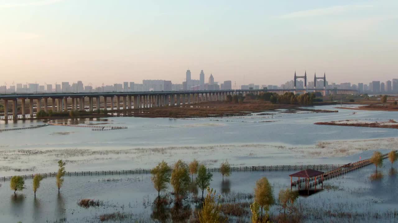 群力外滩生态湿地 公园 阳明滩大桥视频素材