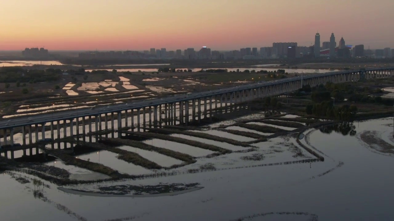 群力外滩生态湿地 公园 阳明滩大桥视频素材