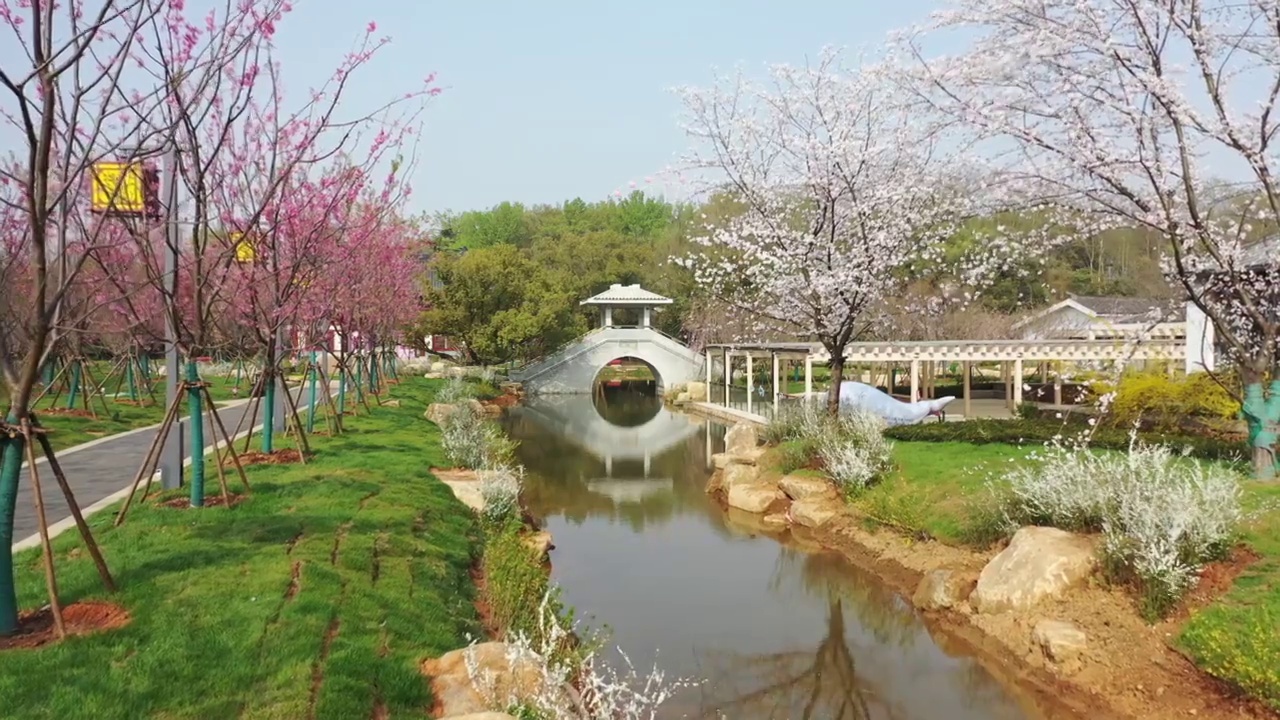 湖北省武汉市东湖樱花景区航拍视频素材