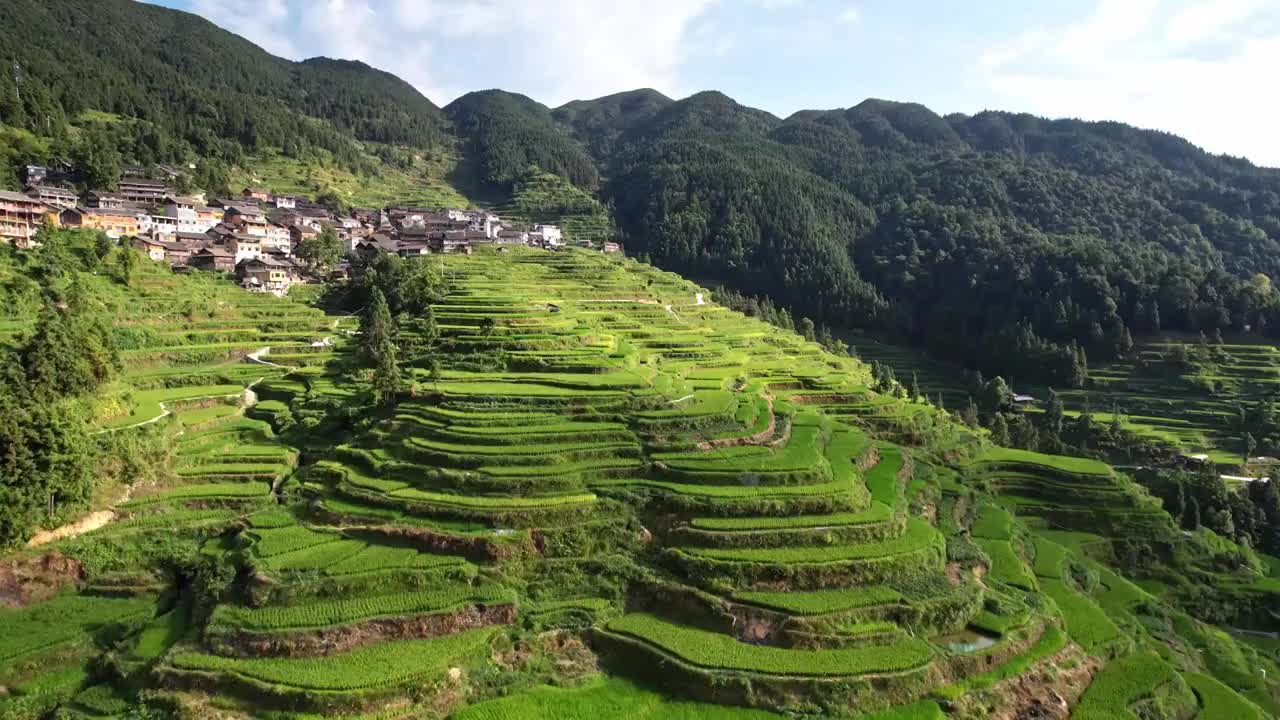 贵州黔东南堂安梯田视频素材