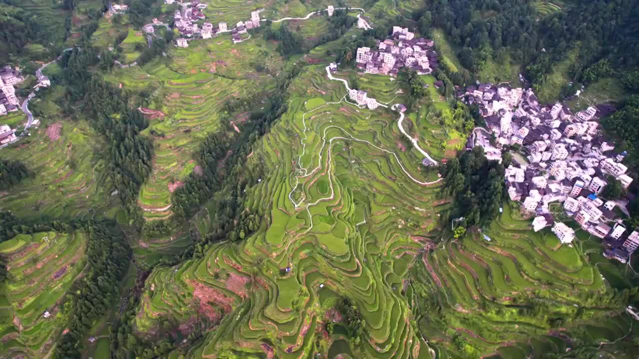 贵州黔东南堂安梯田视频素材