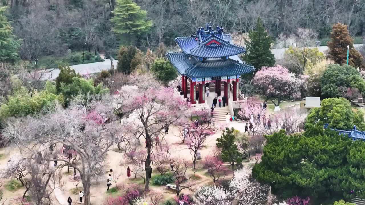 梅花山博爱阁视频素材