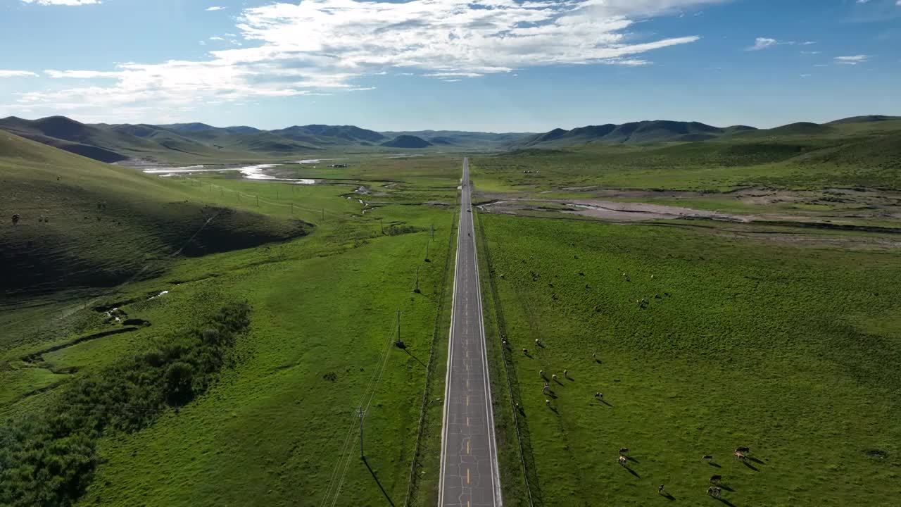 笔直的柏油公路穿过绿色的草原视频素材