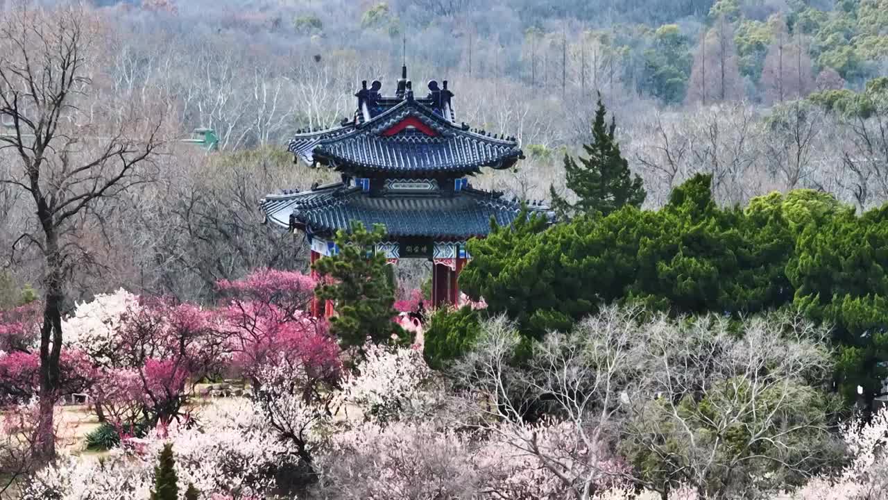 博爱阁，江苏南京视频素材