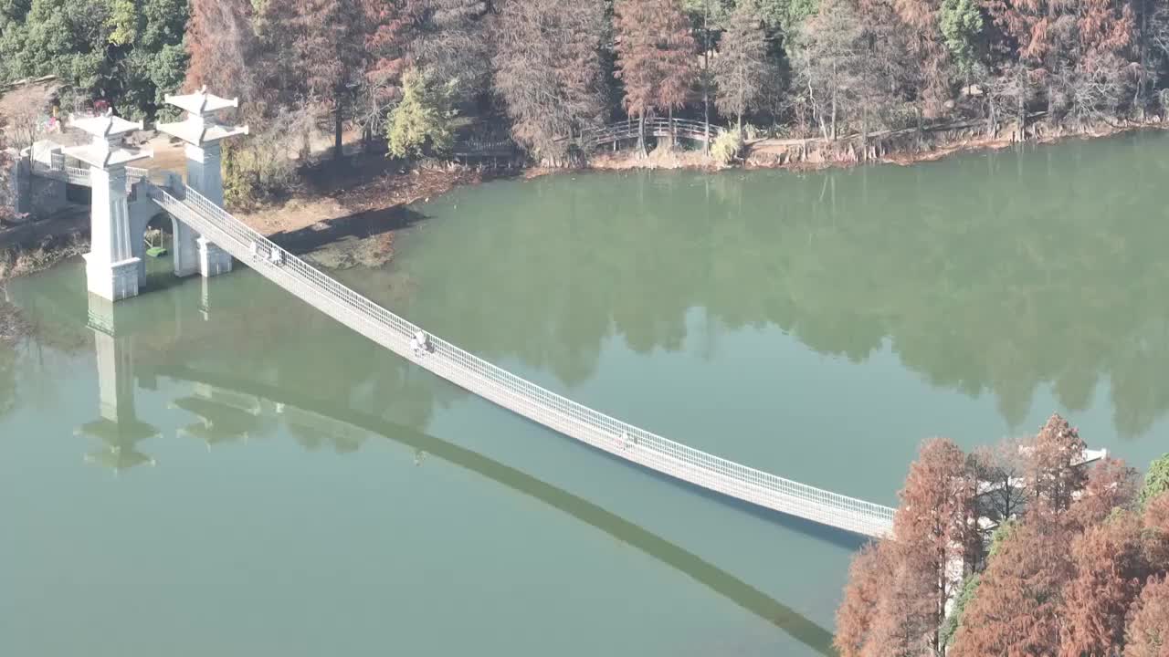 航拍湖北武汉东湖落雁风景区视频素材