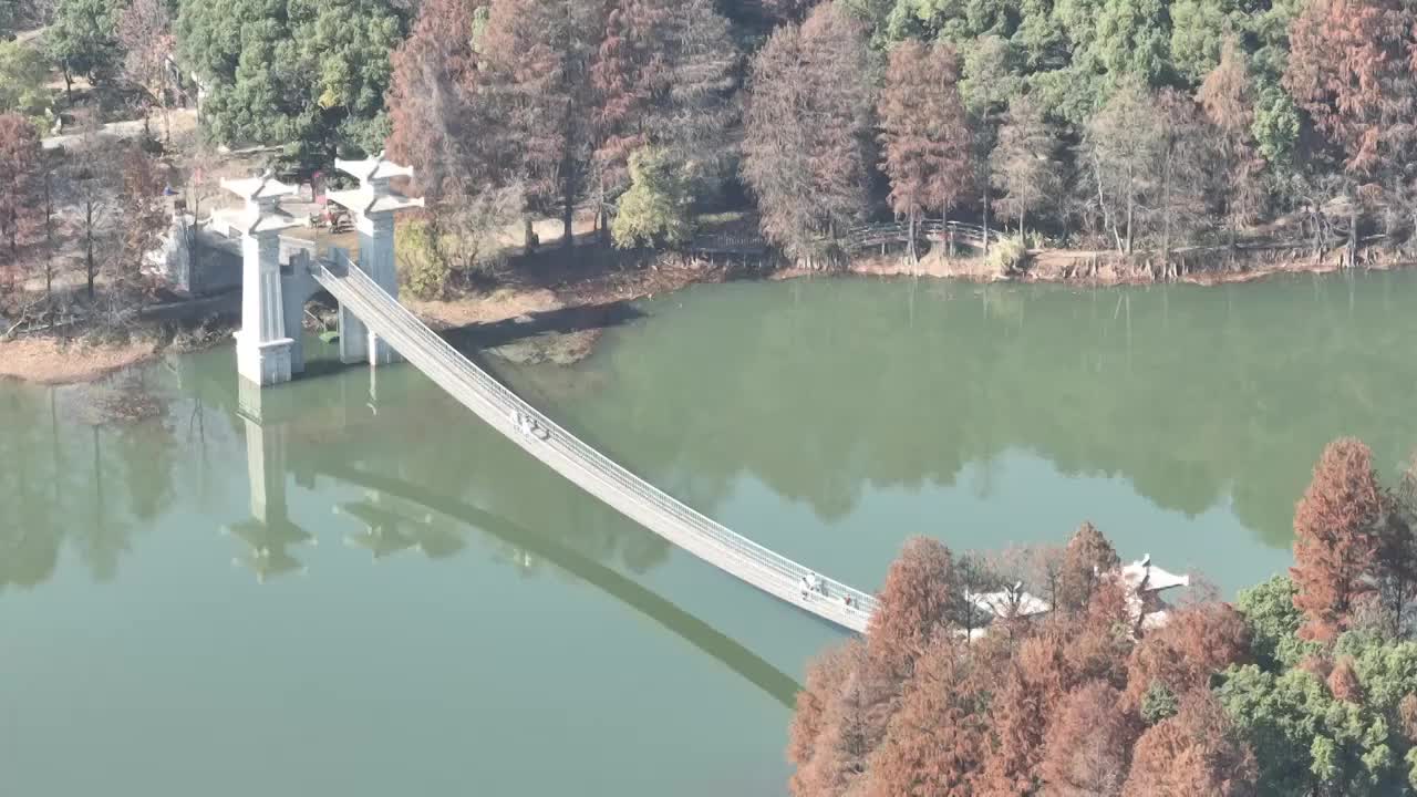 航拍湖北武汉东湖落雁风景区视频素材