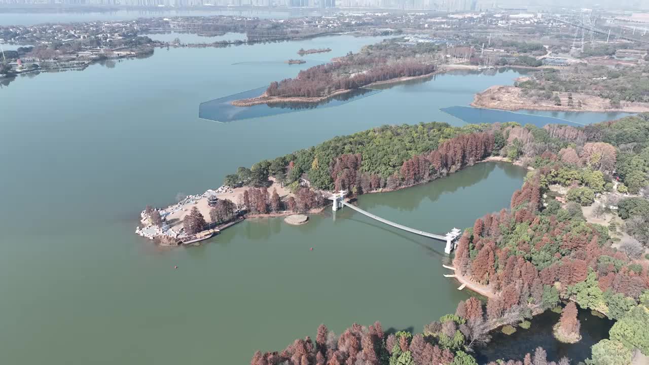 航拍湖北武汉东湖落雁风景区视频素材