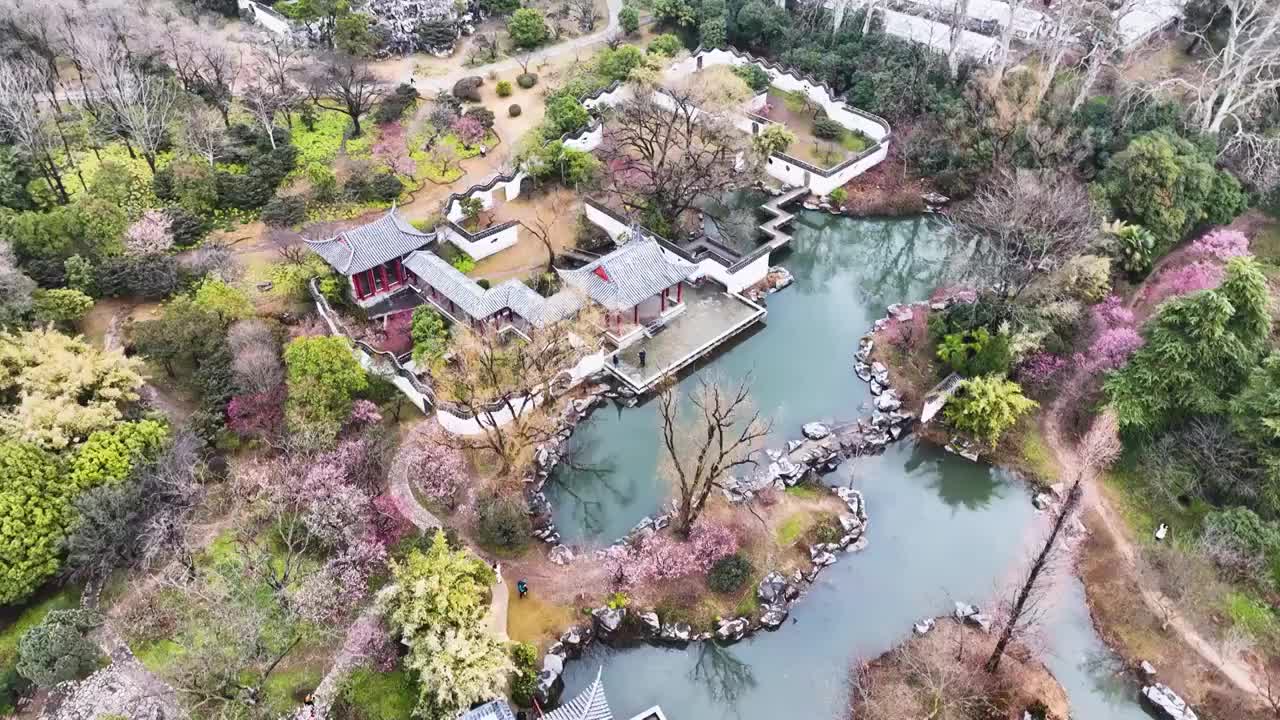 初春的红楼艺文苑，江苏南京视频素材