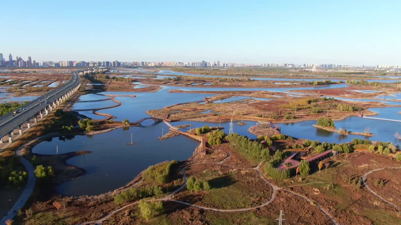 阳明滩大桥  群力外滩生态湿地 公园视频素材