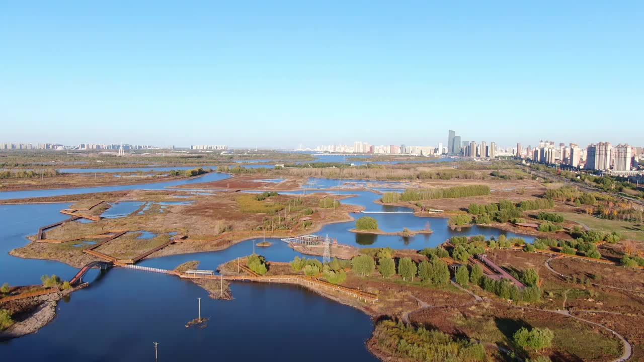 阳明滩大桥  群力外滩生态湿地 公园视频素材